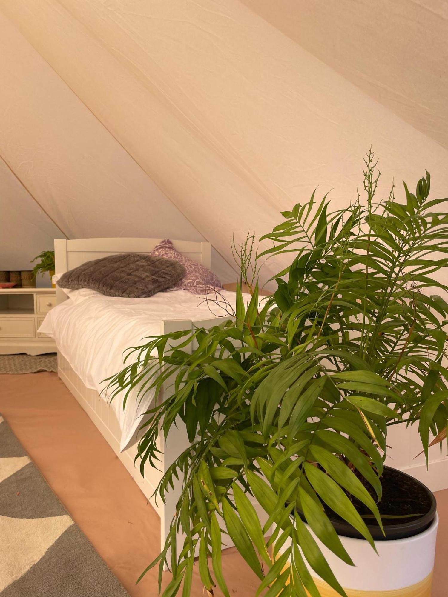 Trevena Cross Glamping & Camping Helston Exterior photo