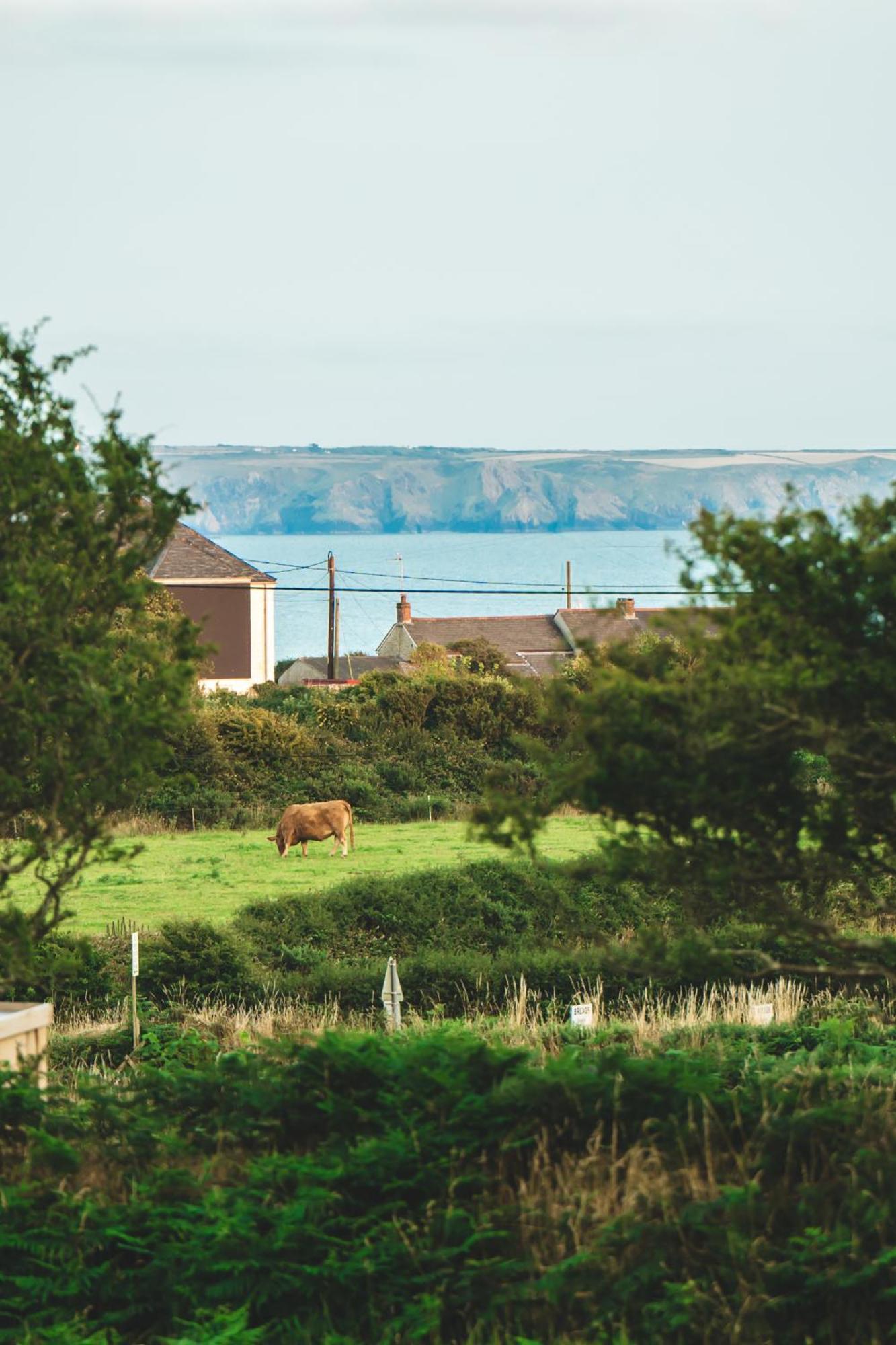 Trevena Cross Glamping & Camping Helston Exterior photo