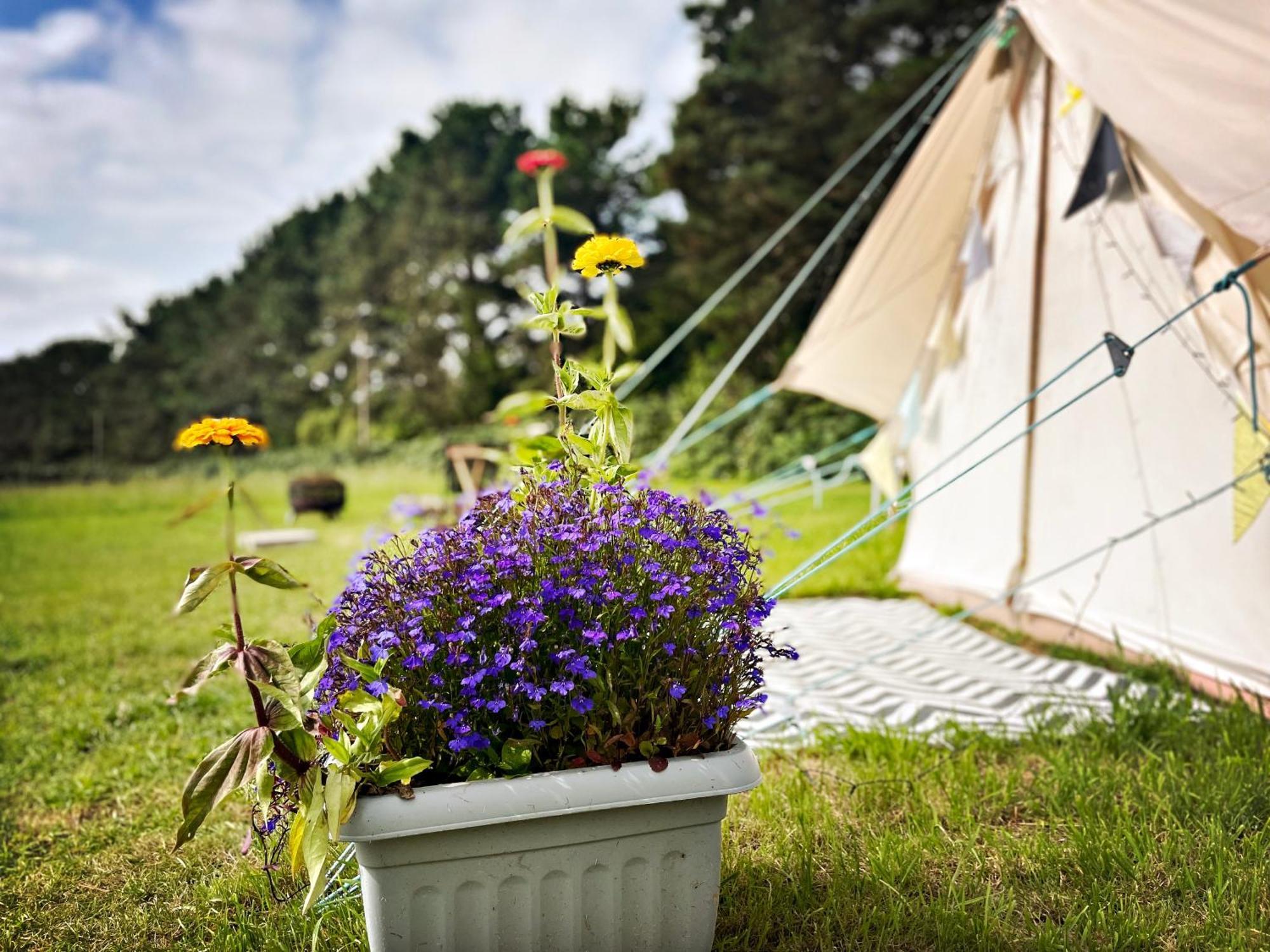 Trevena Cross Glamping & Camping Helston Exterior photo